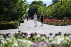 В Волгоградской области похолодает до +10 градусов