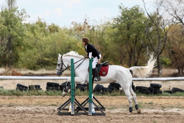 Авторы «Волгоградской правды» борются за победу в конкурсе