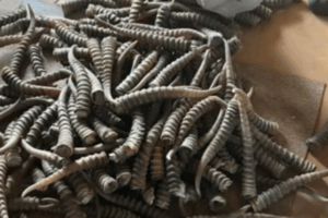 В Волгоградской области поймали контрабандистов, перевозивших рога сайгаков