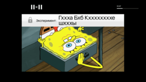 Федеральный телеканал проведет эксперимент над волгоградцами