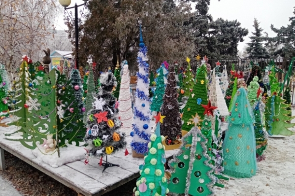 Выставка елок открылась для волгоградцев в сквере Маргариты Агашиной