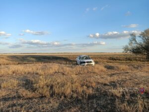 В Волгоградской области иномарка улетела в кювет из-за коровы