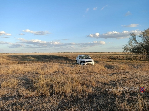 В Волгоградской области иномарка улетела в кювет из-за коровы