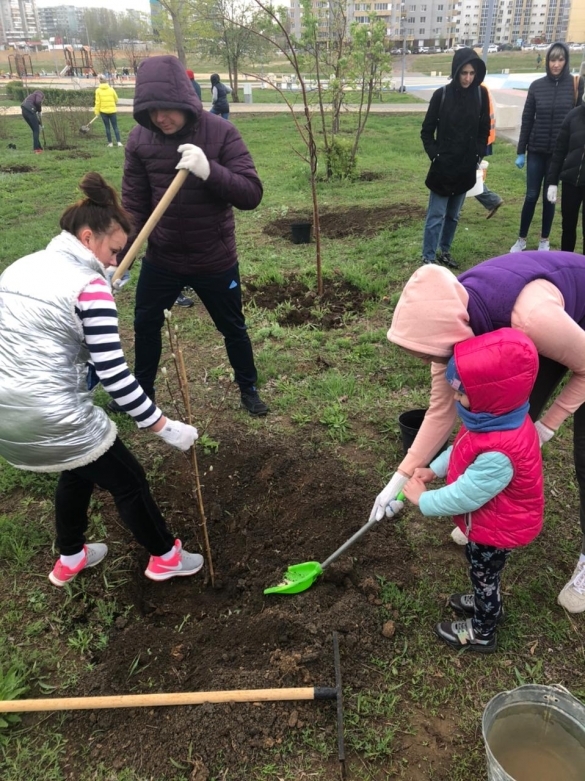 На севере Волгограда высадили более 270 декоративных растений