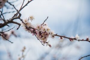 День весеннего равноденствия: чего нельзя делать 20 марта