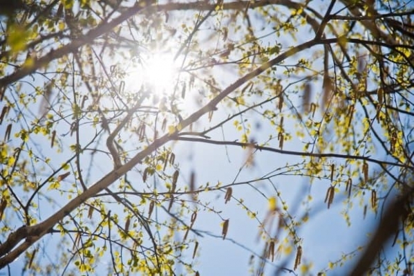 Погода продолжит баловать волгоградцев теплом