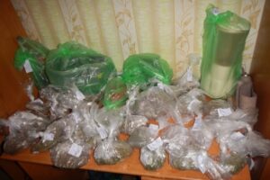 Котовчанин получит 9 лет тюрьмы за продажу наркотиков военнослужащему