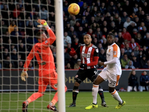 Болельщики «Халла» требуют отставки Леонида Слуцкого