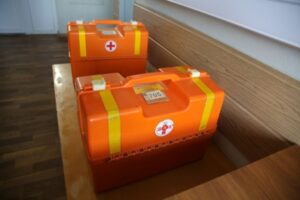 В Дубовском районе 5-летняя девочка пострадала в ДТП из-за кабана