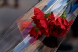 Уроженец Волгограда Шаляпин побывал на могиле Владимира Жириновского