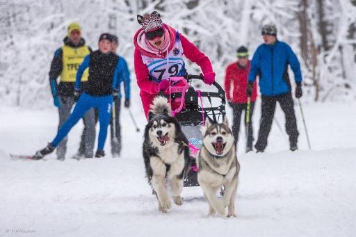 Волгоградцы заблудились под Саратовом