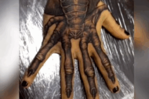 Программист из Волгограда сделал тату лицехвата из фильма «Чужой»