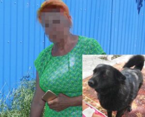 Хозяйка расстрелянной собаки: «Мою Жуку убили из ружья на улице»