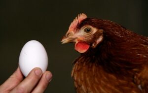 Детей в Иловлинском районе хотели накормить некачественными продуктами