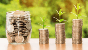 Самые богатые звезды соцсетей: итоги 2019 года