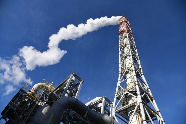 Работа в IT и нефтегазовой отрасли считается престижной у волгоградцев
