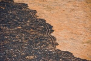 В Волгоградскую область возвращается чрезвычайная пожароопасность