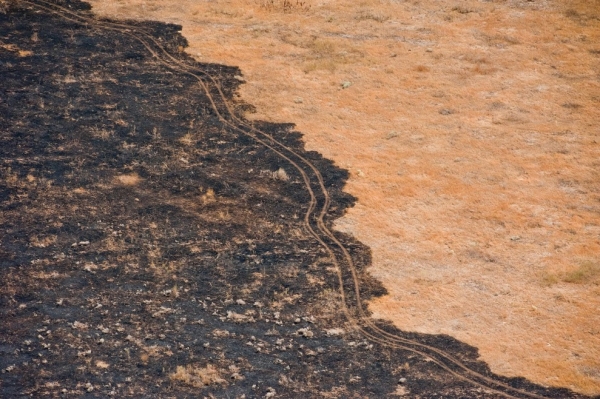 В Волгоградскую область возвращается чрезвычайная пожароопасность