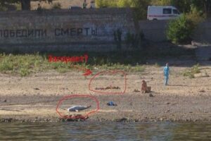 На диком пляже у стены Родимцева в Волгограде утонула женщина