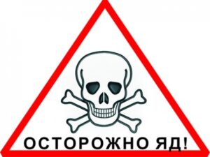 Брат с сестрой отравились крысиным ядом в Волжском