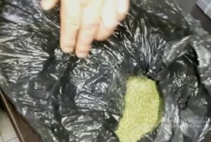 Под Волгоградом у 23-летнего парня изъяли почти 500 граммов марихуаны