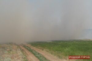 10 гектаров травы горит в Дзержинском районе Волгограда