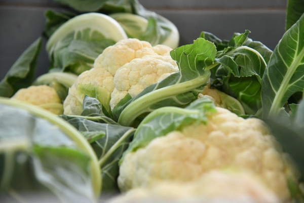 Цветная капуста и брокколи способны защитить печень от ожирения