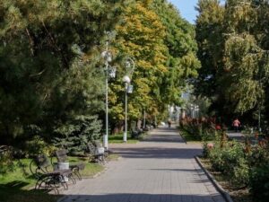 В Волгограде Комсомольский сад благоустроят почти за 70 млн рублей