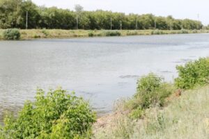 Покрасневшую реку в Волгоградской области проверят в прокуратуре