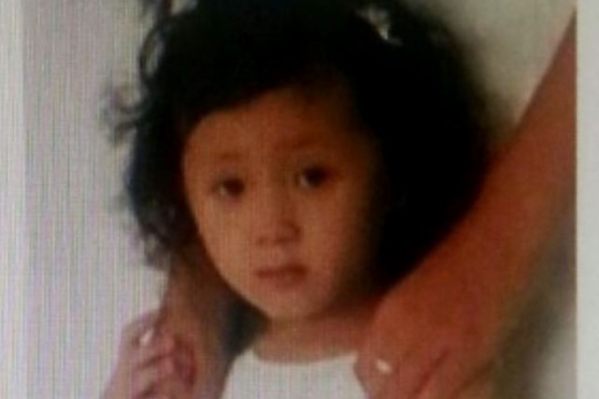 Обнаружено тело пропавшей накануне девочки