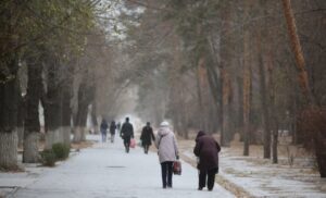 Новый год в Волгоградской области начнется с мороси при +3