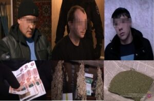 В Волгоградской области перекрыли канал сбыта марихуаны