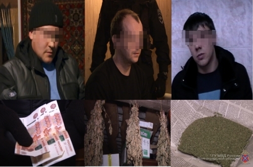 В Волгоградской области перекрыли канал сбыта марихуаны