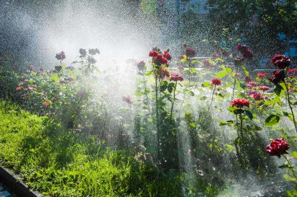 Фонтан, роща и пруд: Андрей Бочаров оценил проект сквера Металлургов