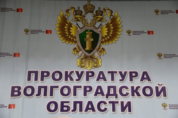 Под Волгоградом мать чиновницы незаконно арендовала земельный участок