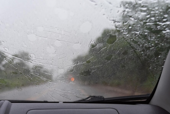 В Волгоградской области водитель разбился о дерево