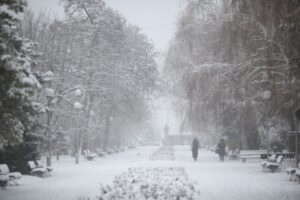 Волгоградцев приглашают на зарядку в Комсомольский сад