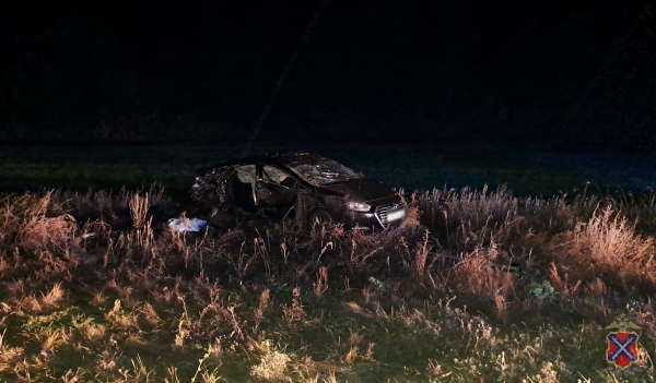 В Волгоградской области 50-летний пассажир иномарки погиб в аварии