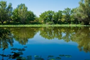 Двум браконьерам грозит крупный штраф за ловлю рыбы на электроудочку