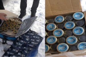 У 49-летнего браконьера изъяты более 15 литров черной икры в Волгограде