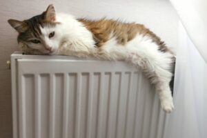 Тепло в волгоградские дома перестанет поступать 16 апреля