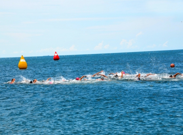 Волгоградские пловчихи взошли на пьедестал в Анапе