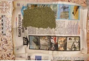 Повара волгоградского ресторана задержали за сбыт марихуаны