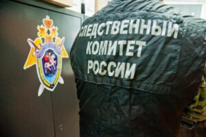 Центральный аппарат СК расследует трагедию с гибелью ребенка в ЮФО