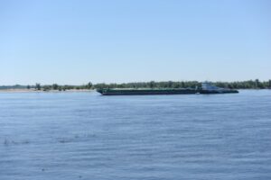 В Волгограде пятерых подростков унесло на матрасах на середину Волги