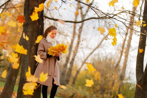 Теплая и ясная погода задержится в Волгограде до 25 октября