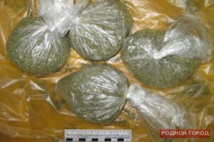 Работница оптовой базы в Волгограде торговала марихуаной