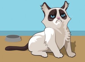 Не стоит этого делать: почему опасно целовать котов