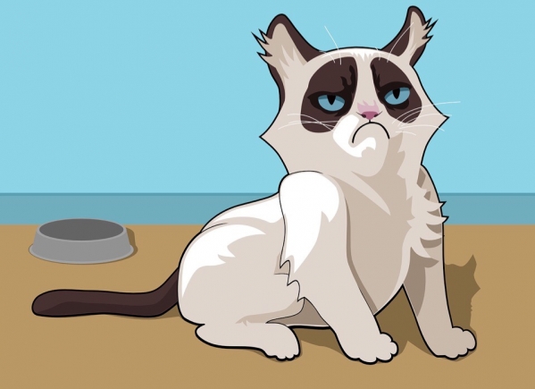 Не стоит этого делать: почему опасно целовать котов