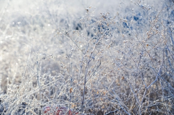 Температура в Волгоградской области опустится ночью до -18 градусов